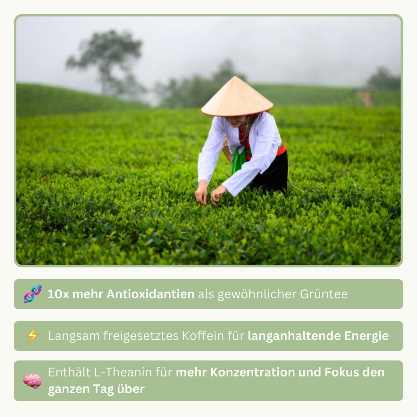 Ceremonial Matcha